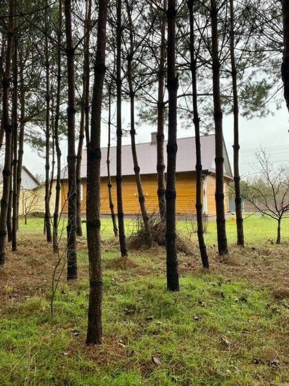 Wiejska Chata U Emili Koszele  Buitenkant foto